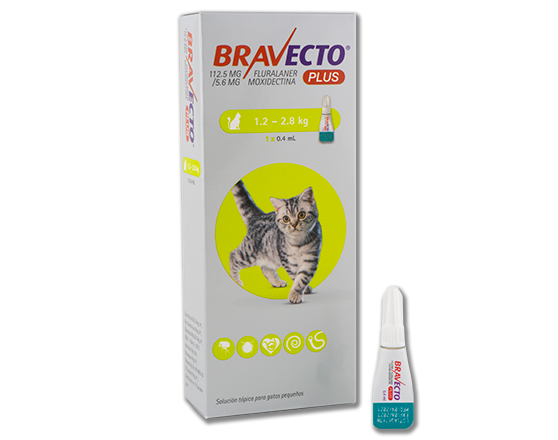 Bravecto Plus Felino CH 1.2kg a 2.8kg