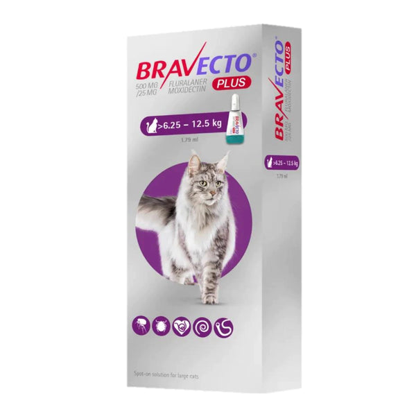 Bravecto Plus Felino >6.25 a 12.5 kg