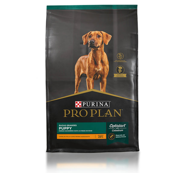 Pro Plan Cachorro Raza Grande 10kg