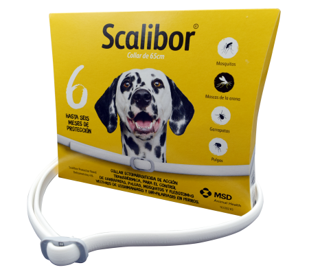 SCALIBOR® PROTECTOR BAND