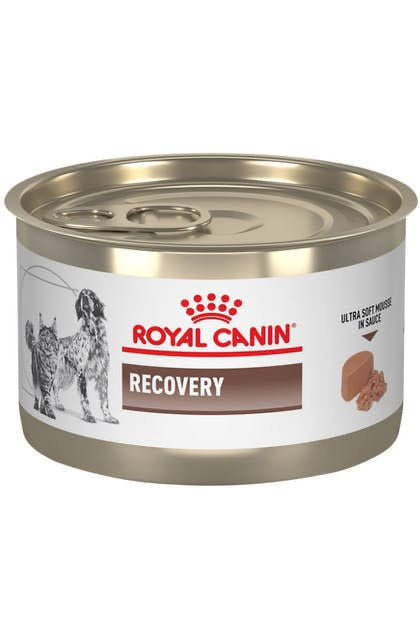 Royal Canin Recovery Lata 145g